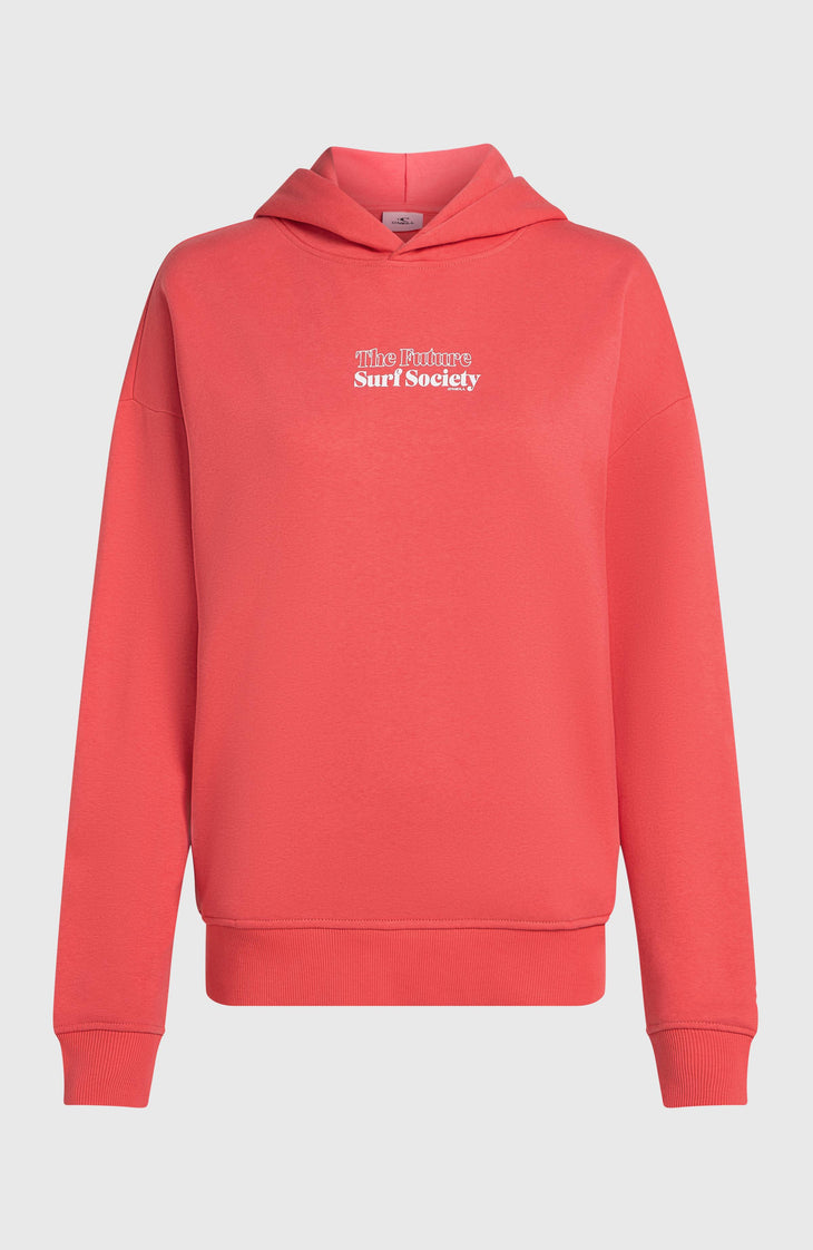 Future Surf Society hoodie | Froly