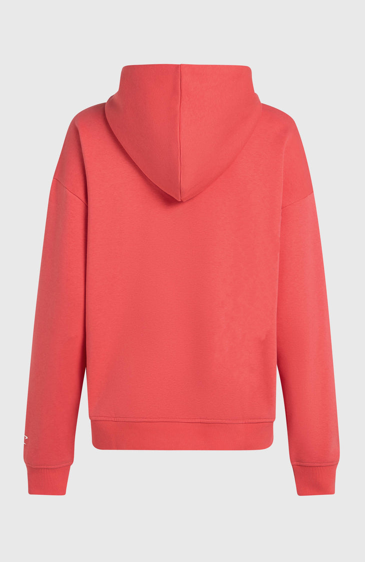 Future Surf Society hoodie | Froly