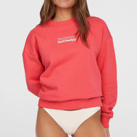 Future Surf Crew sweater | Froly