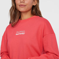 Future Surf Crew sweater | Froly