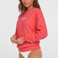 Future Surf Crew sweater | Froly