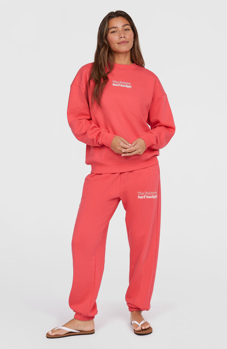 Future Surf Crew sweater | Froly