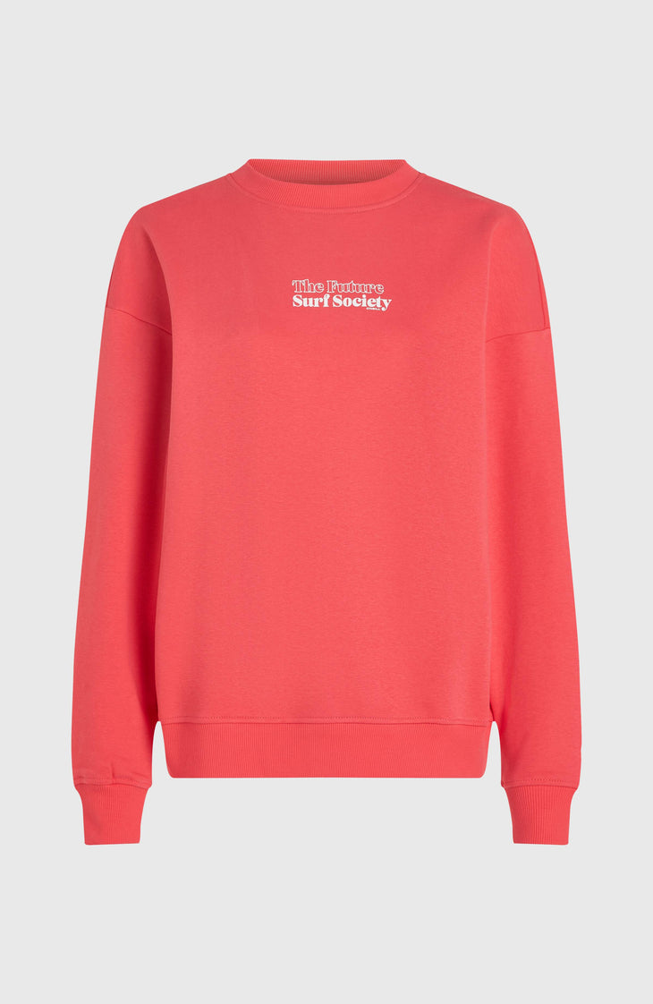 Future Surf Crew sweater | Froly