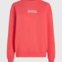 Future Surf Crew sweater | Froly