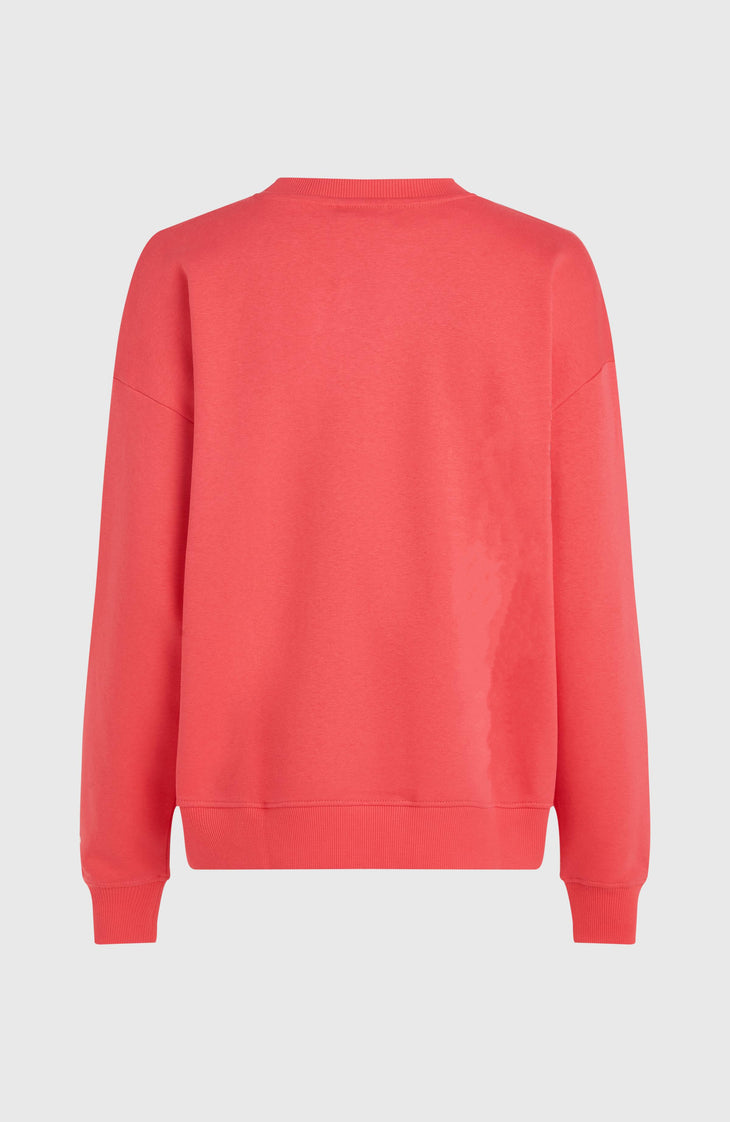 Future Surf Crew sweater | Froly