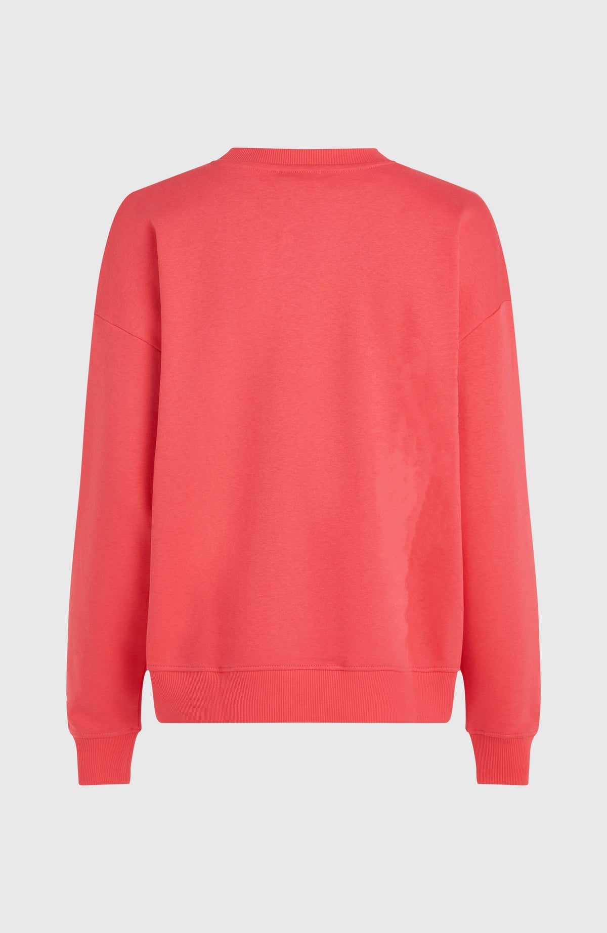 Future Surf Crew sweater | Froly