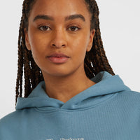 Future Surf Society hoodie | Mozart Blue