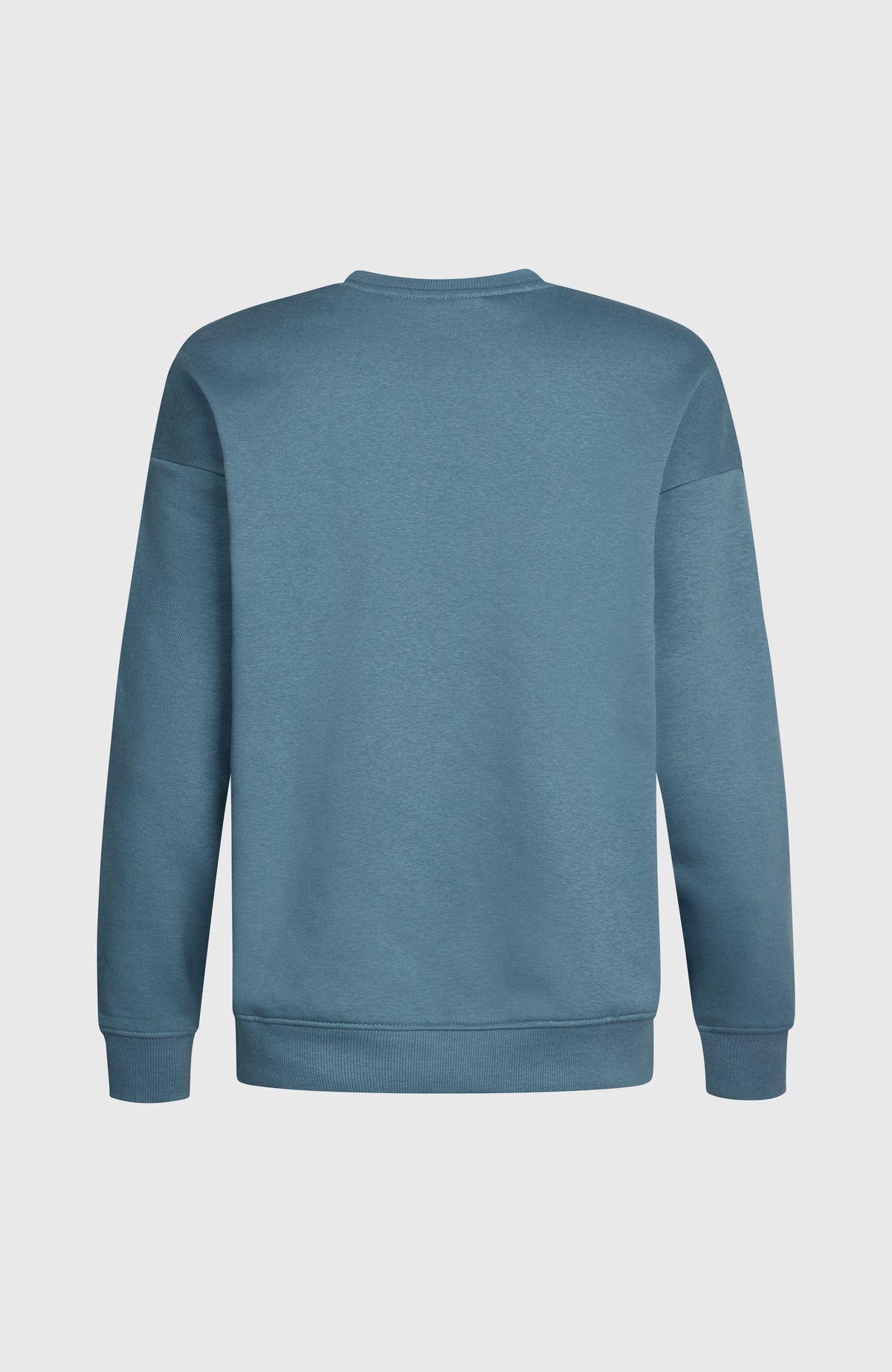 Future Surf Crew sweater | Mozart Blue