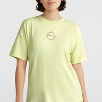 Back Graphic T-shirt | Lime Wash