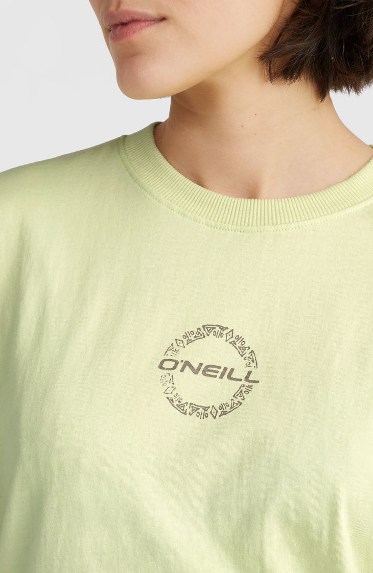 Back Graphic T-shirt | Lime Wash