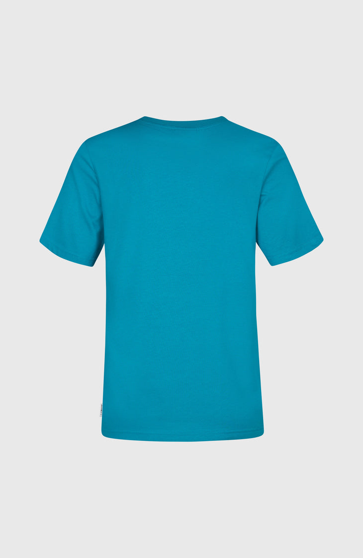 O'Neill Graphic T-shirt | Island Breeze