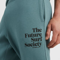 Future Surf Joggingbroek | North Atlantic