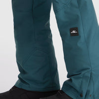 Hammer Regular wintersportbroek | Alma Steel