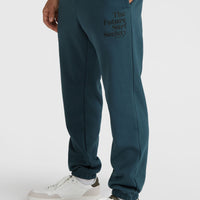 Future Surf Society joggingbroek | Alma Steel