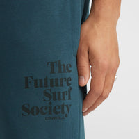 Future Surf Society joggingbroek | Alma Steel