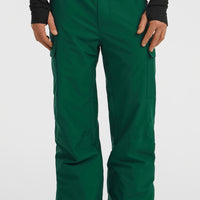 FWC'Cruz Cargo wintersportbroek | Emerald Envy