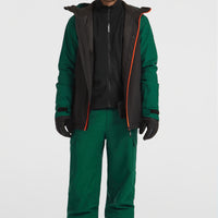 FWC'Cruz Cargo wintersportbroek | Emerald Envy