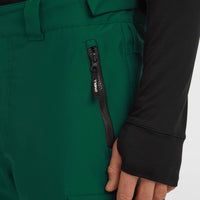 FWC'Cruz Cargo wintersportbroek | Emerald Envy