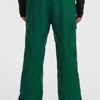 FWC'Cruz Cargo wintersportbroek | Emerald Envy