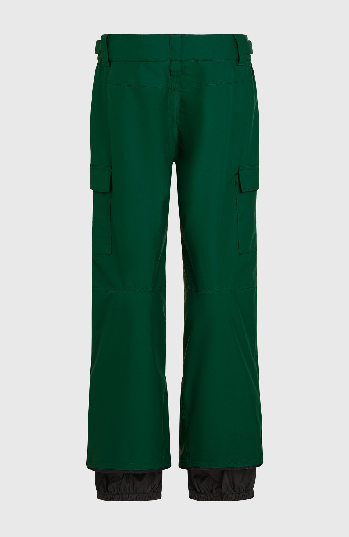 FWC'Cruz Cargo wintersportbroek | Emerald Envy