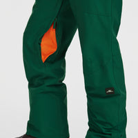 FWC'Cruz wintersportbroek met bretels | Emerald Envy