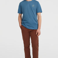 Essentials chinobroek | Hazel Spice