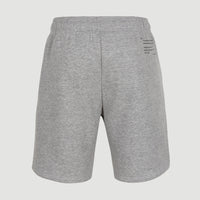 Future Surf Joggingshort | Silver Melee