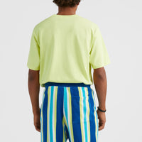 Short Brights Terry | Blue Towel Stripe