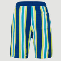 Short Brights Terry | Blue Towel Stripe