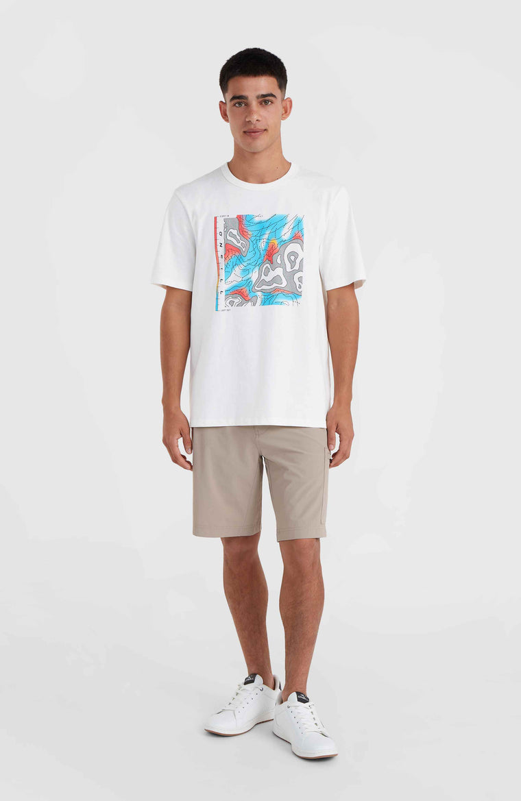 O'Neill TRVLR Series Stretch short | Pumpkin Smoke