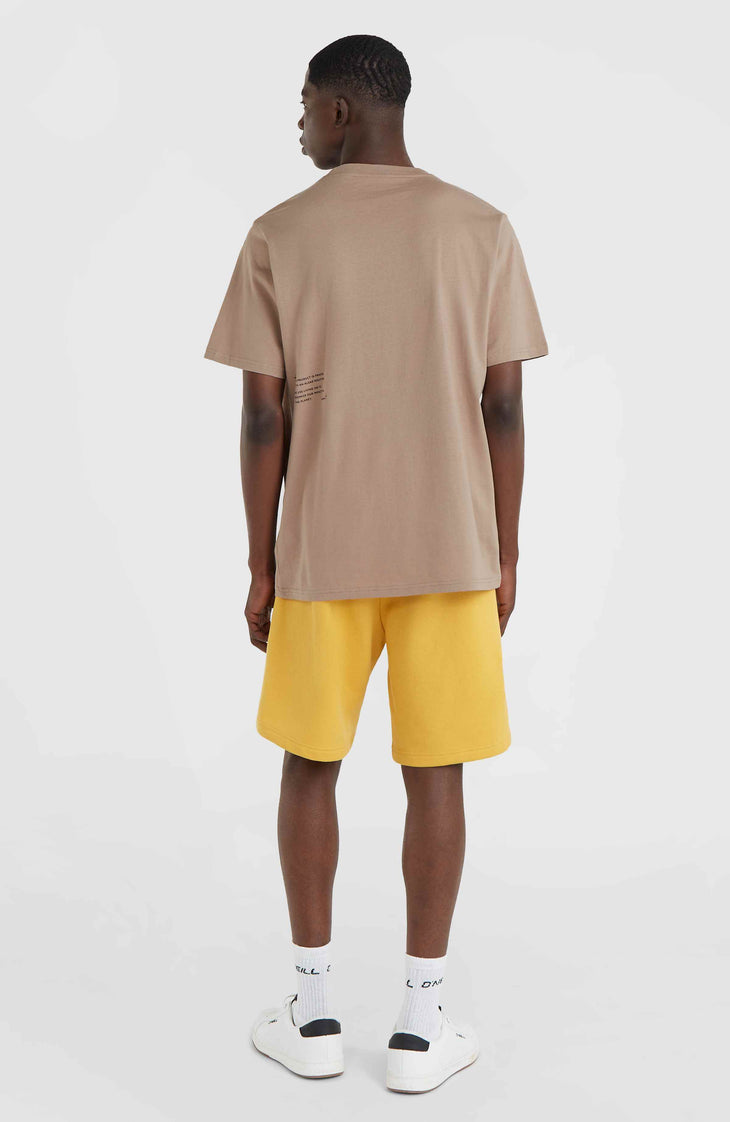 Future Surf Society short | Golden Haze