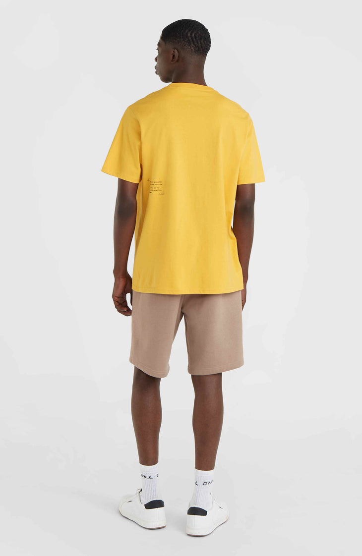 Future Surf Society short | Pumpkin Smoke