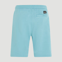 O'Neill Logo sweatshort | Ripling Shores