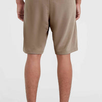 O'Neill Logo sweatshort | Pumpkin Smoke