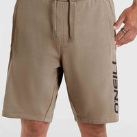 O'Neill Logo sweatshort | Pumpkin Smoke