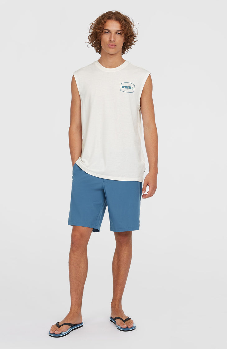 Hybrid Chino 19" short | Copen Blue