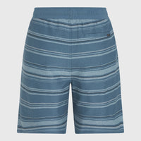 Bavaro short | Blue Bavaro Stripe