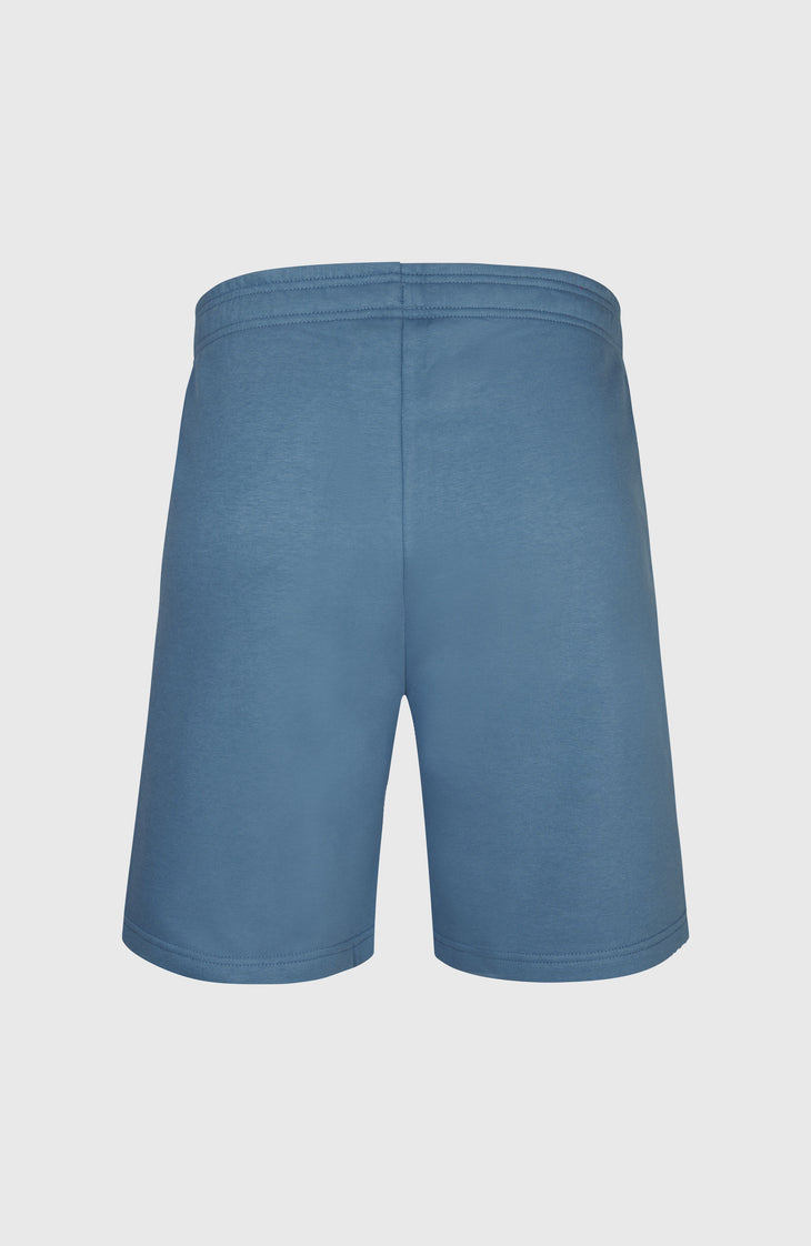 Future Surf Society short | Copen Blue