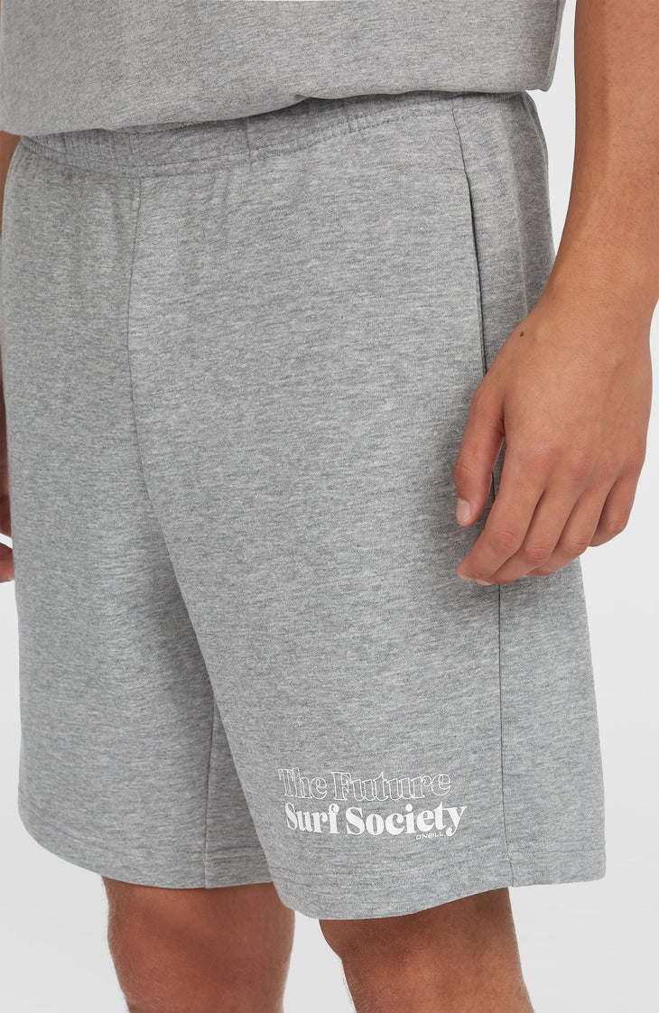 Future Surf Society short | Silver Melee