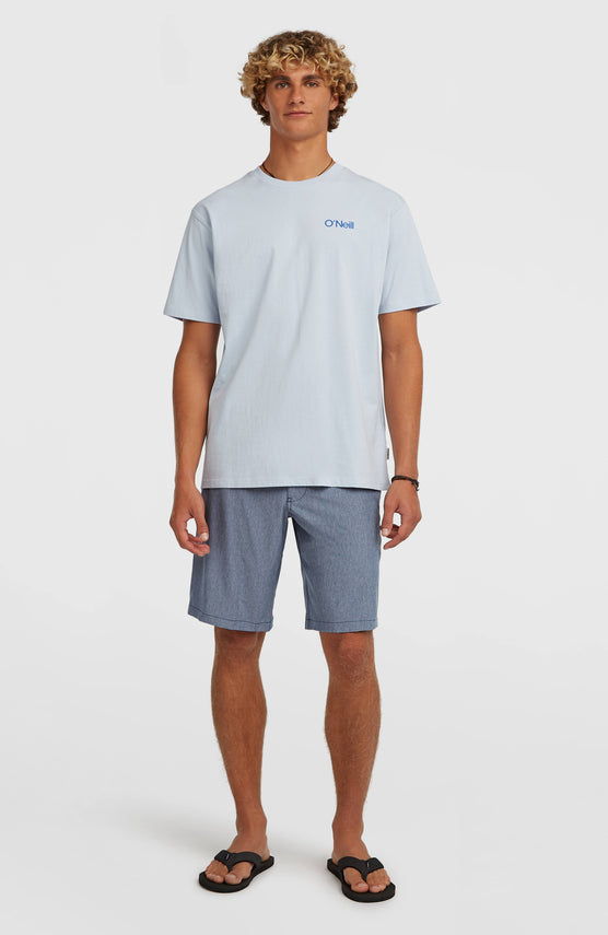 Hybrid 19" Melange short | English Evening