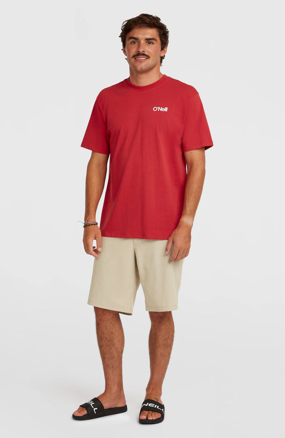 Hybrid 19" Melange short | Cocoa Sand