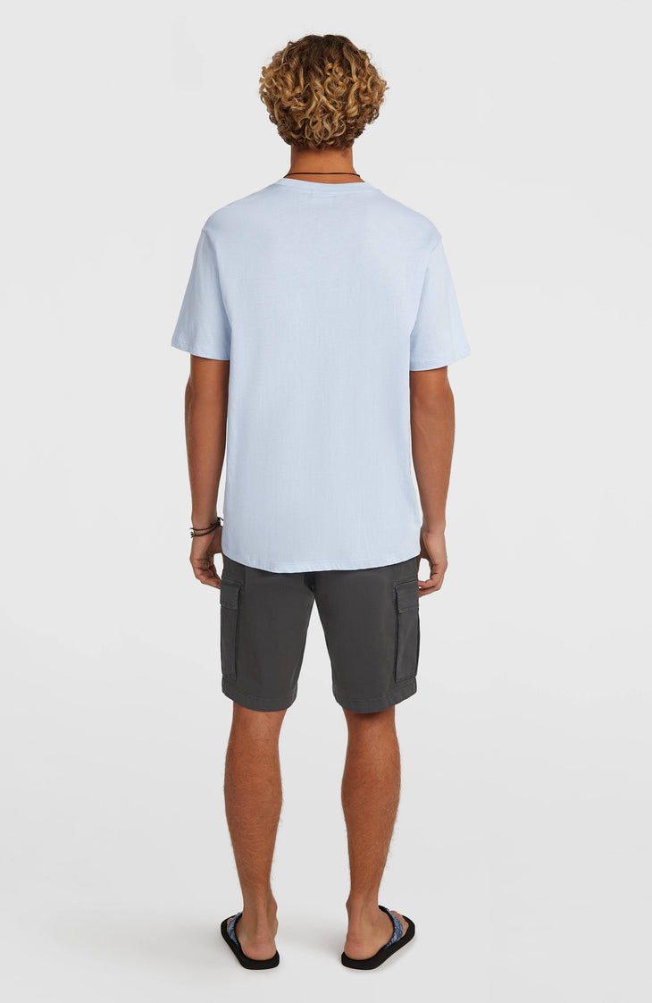 Essentials cargoshort | Raven