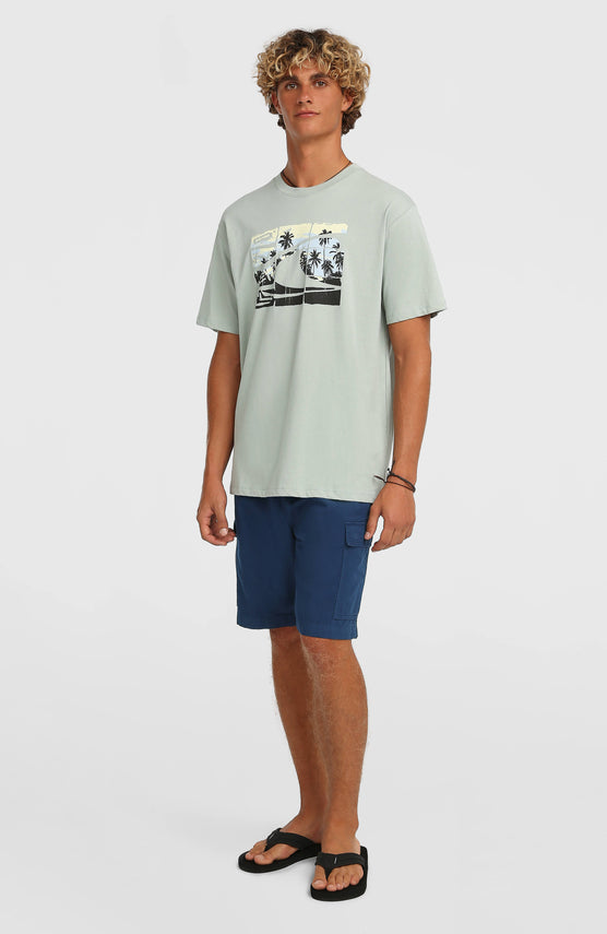 O'Neill Essentials Ripstop cargoshort | English Evening