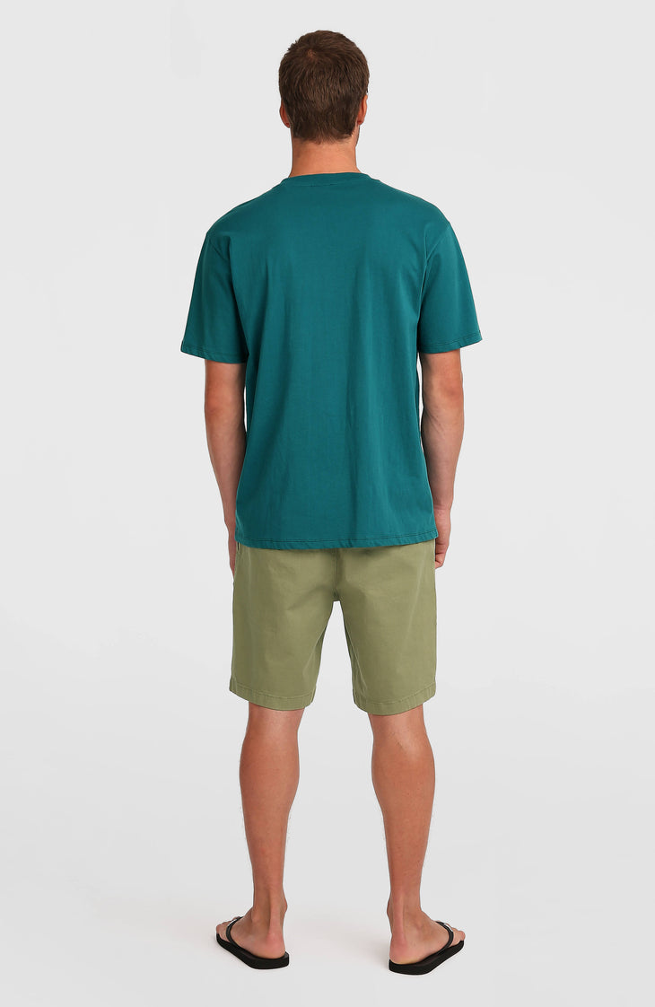 Essentials chinoshort | Avery Fern