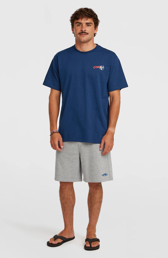 Essentials 90s sweatshort | Silver Melee