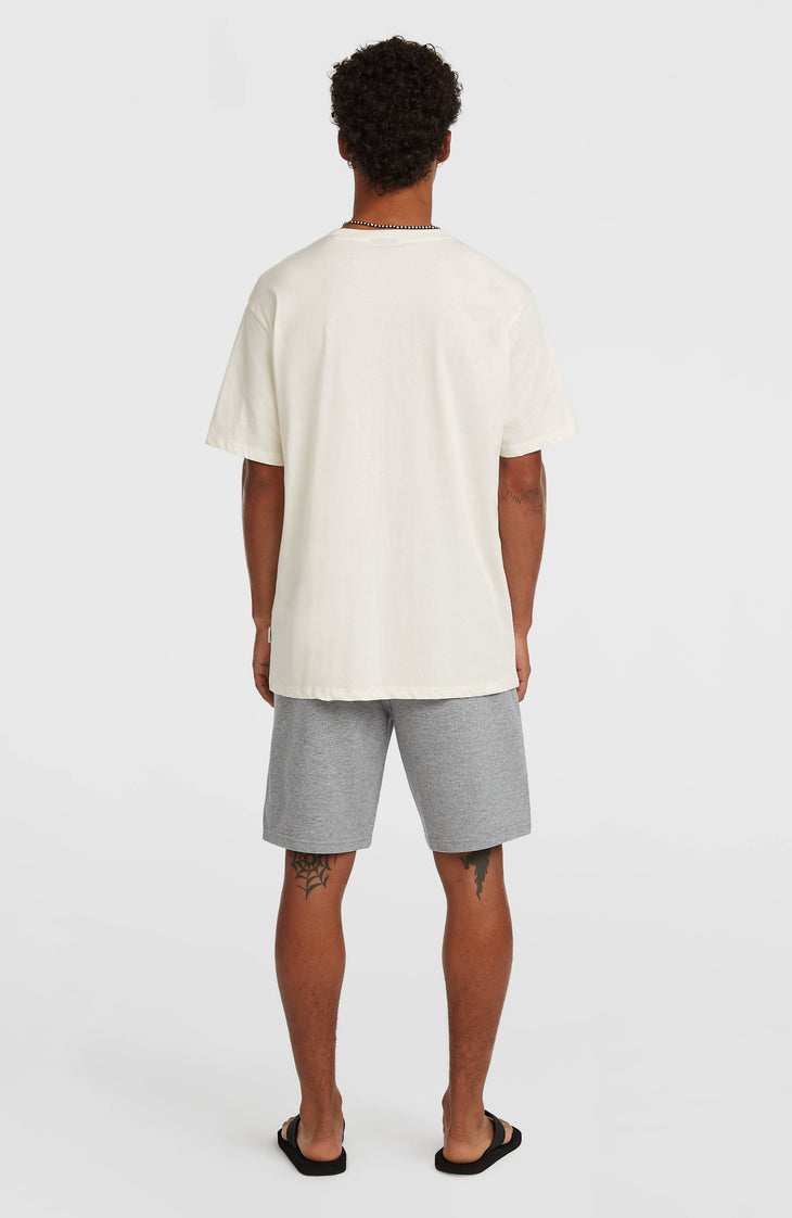 O'Neill Small Logo sweatshort | Silver Melee