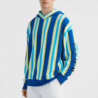 Hoodie Brights Terry | Blue Towel Stripe