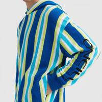 Hoodie Brights Terry | Blue Towel Stripe