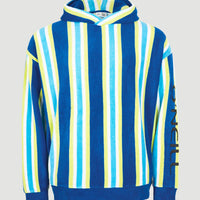 Hoodie Brights Terry | Blue Towel Stripe