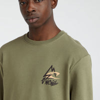 Sweater Torrey Crew | Deep Lichen Green